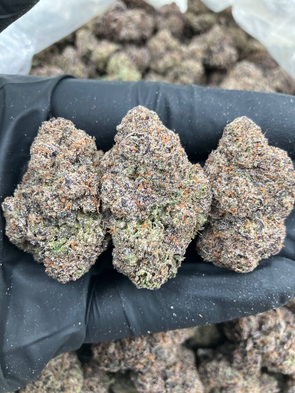 Fishscale Fire