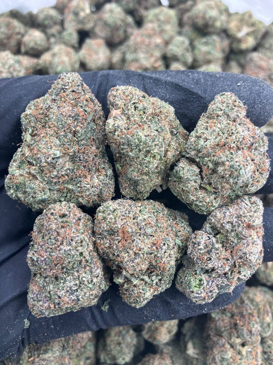 Frozen Purple Guava ⭐️