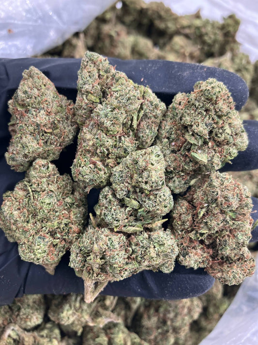 Fuego Runtz 🔥