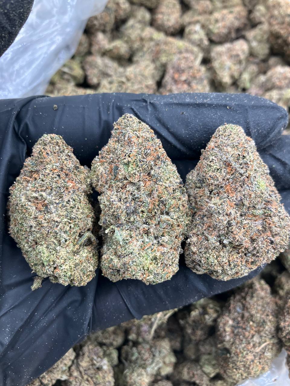 Frosted Runtz