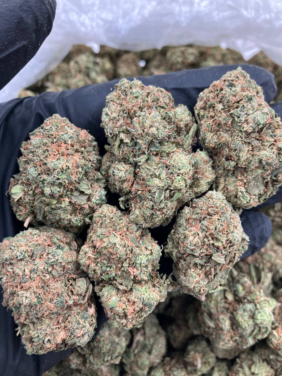 Fruit Loops