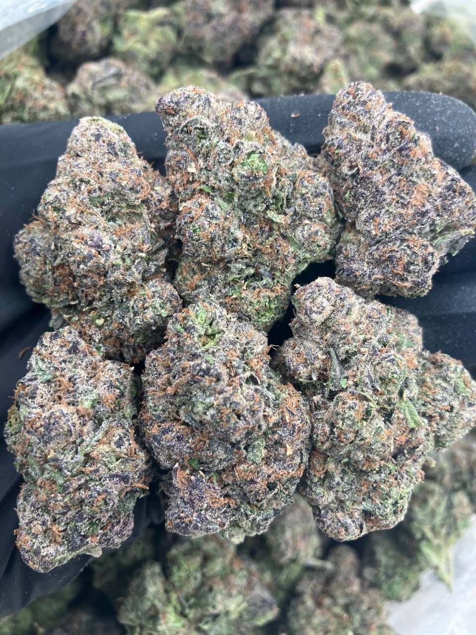 Frozen White Runtz 🥶