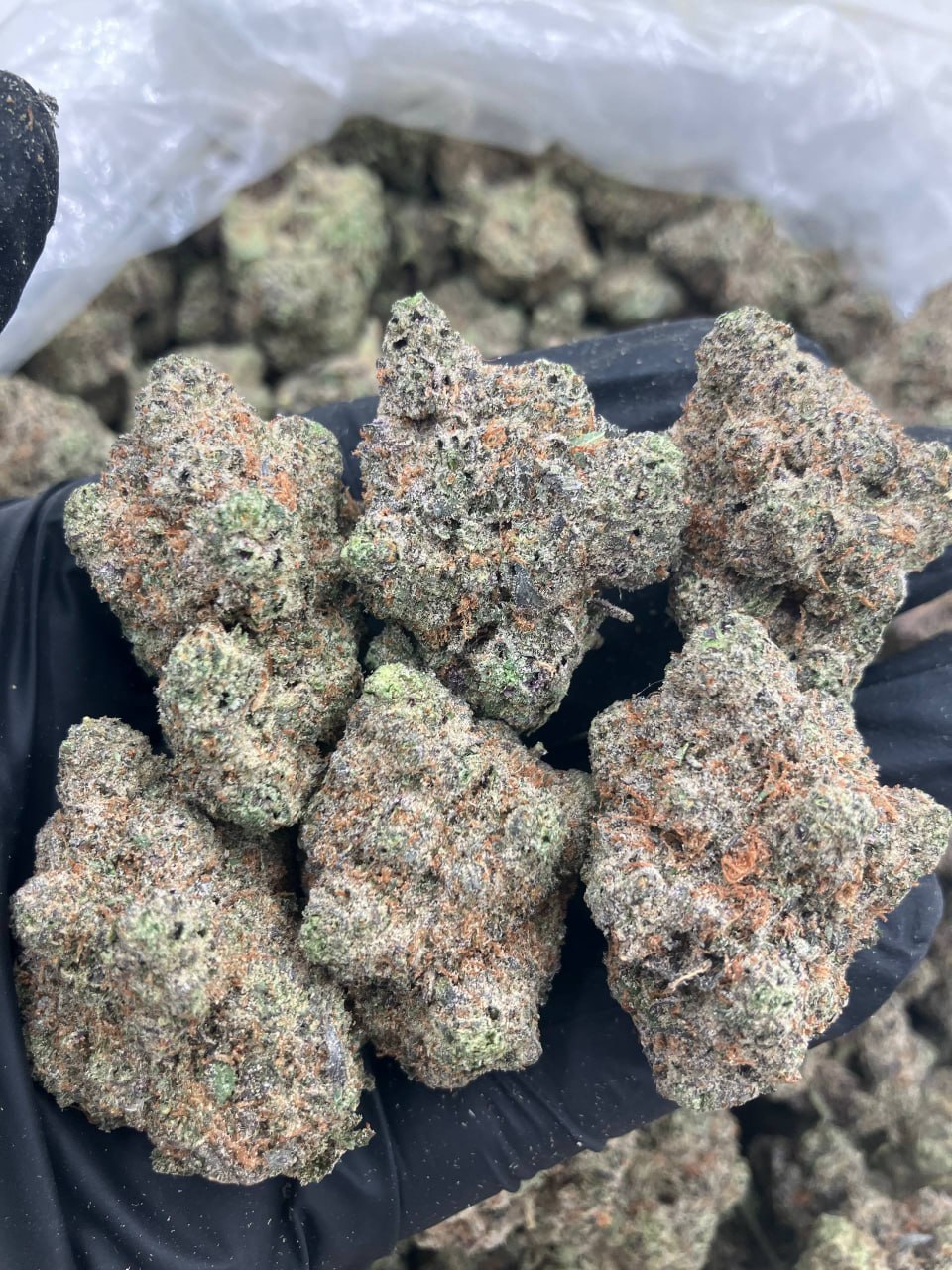Gas-O-Cane