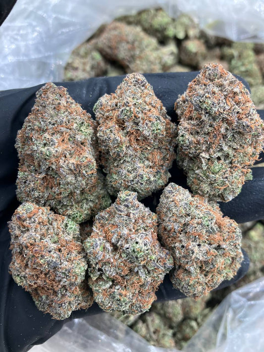 Grand Daddy Bubba 📦