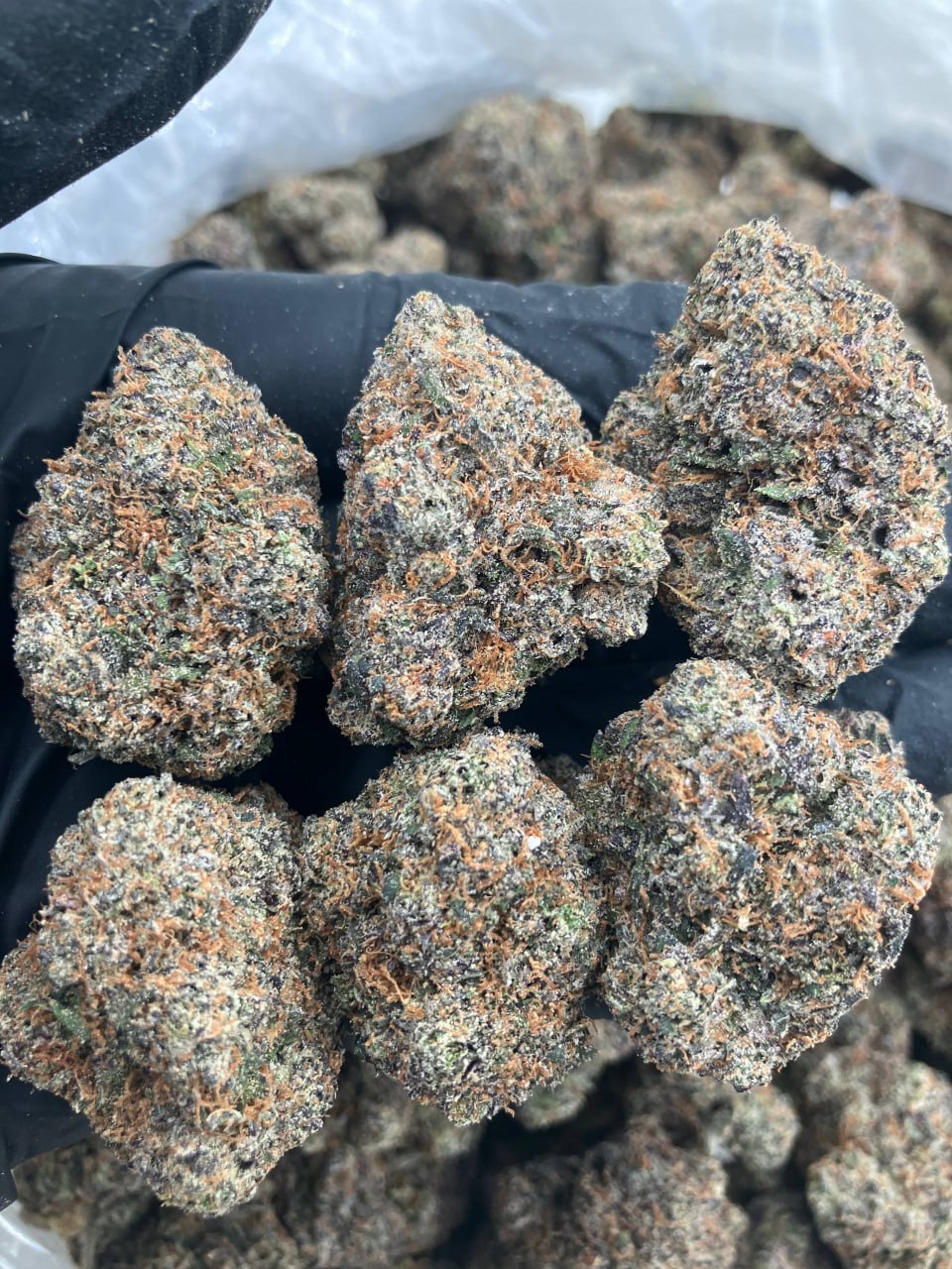 Gelato Rock Candy