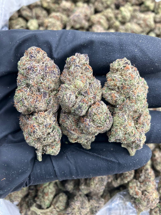 Georgia Grapes 🍇