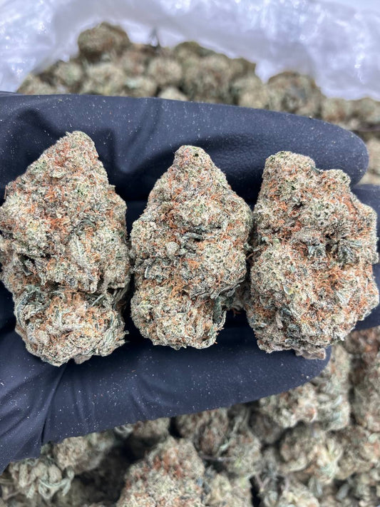 GG77 🎰