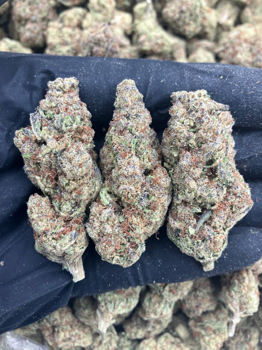 Gelato Juice 🧃