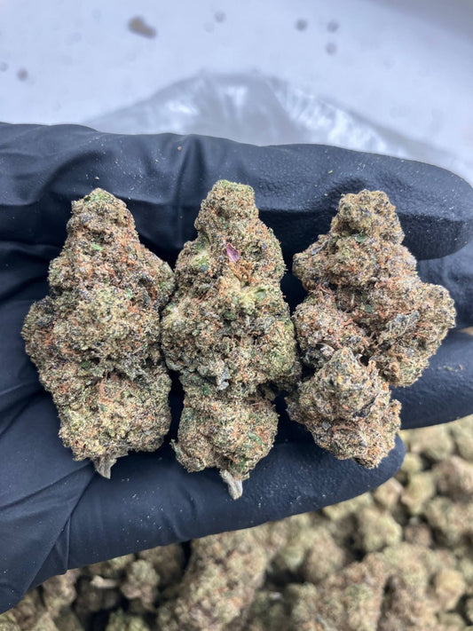 Grape Sorbet 🍇