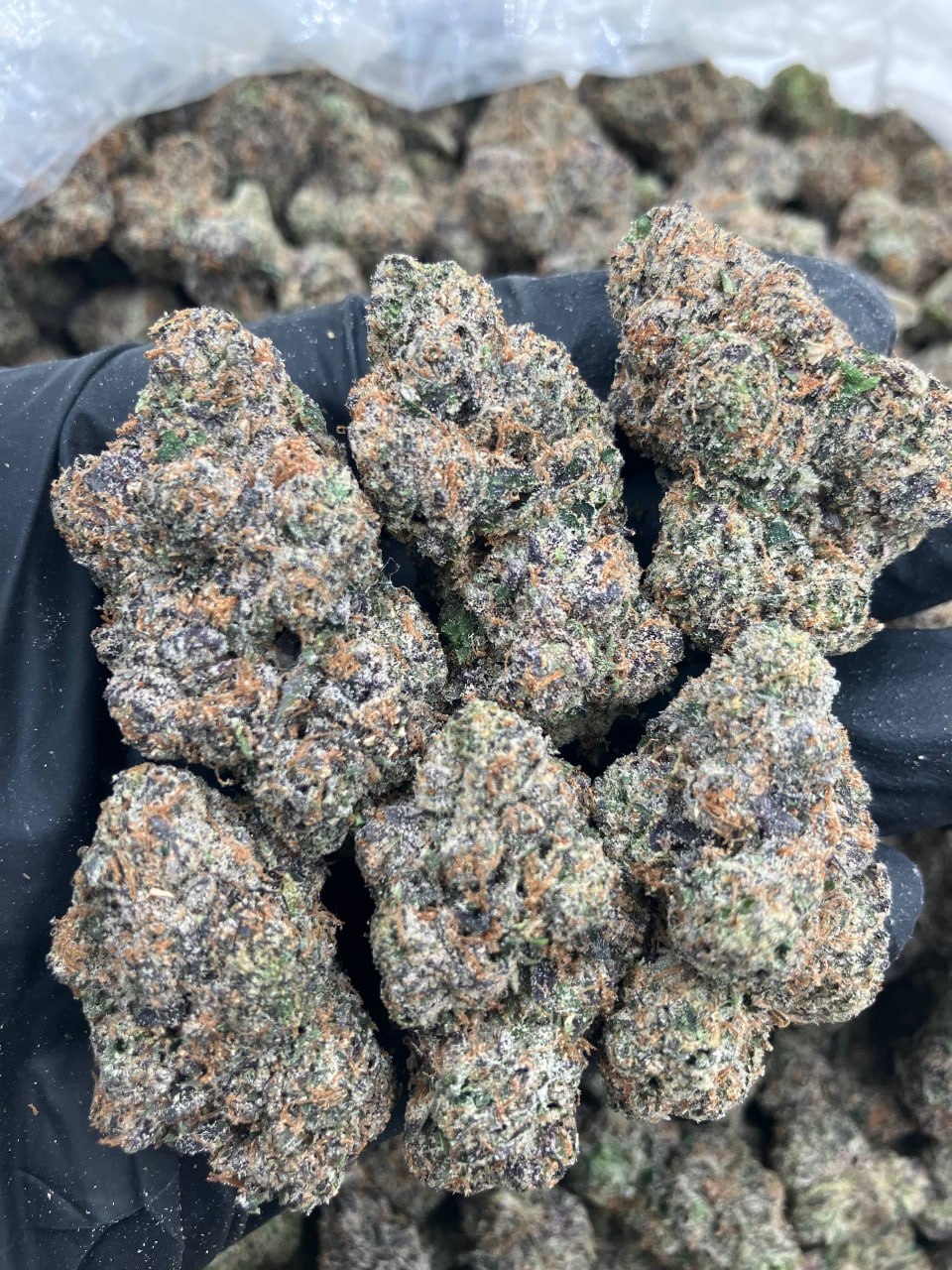 Grape Airheads