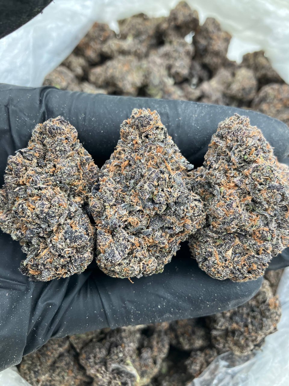 Grape Fanta