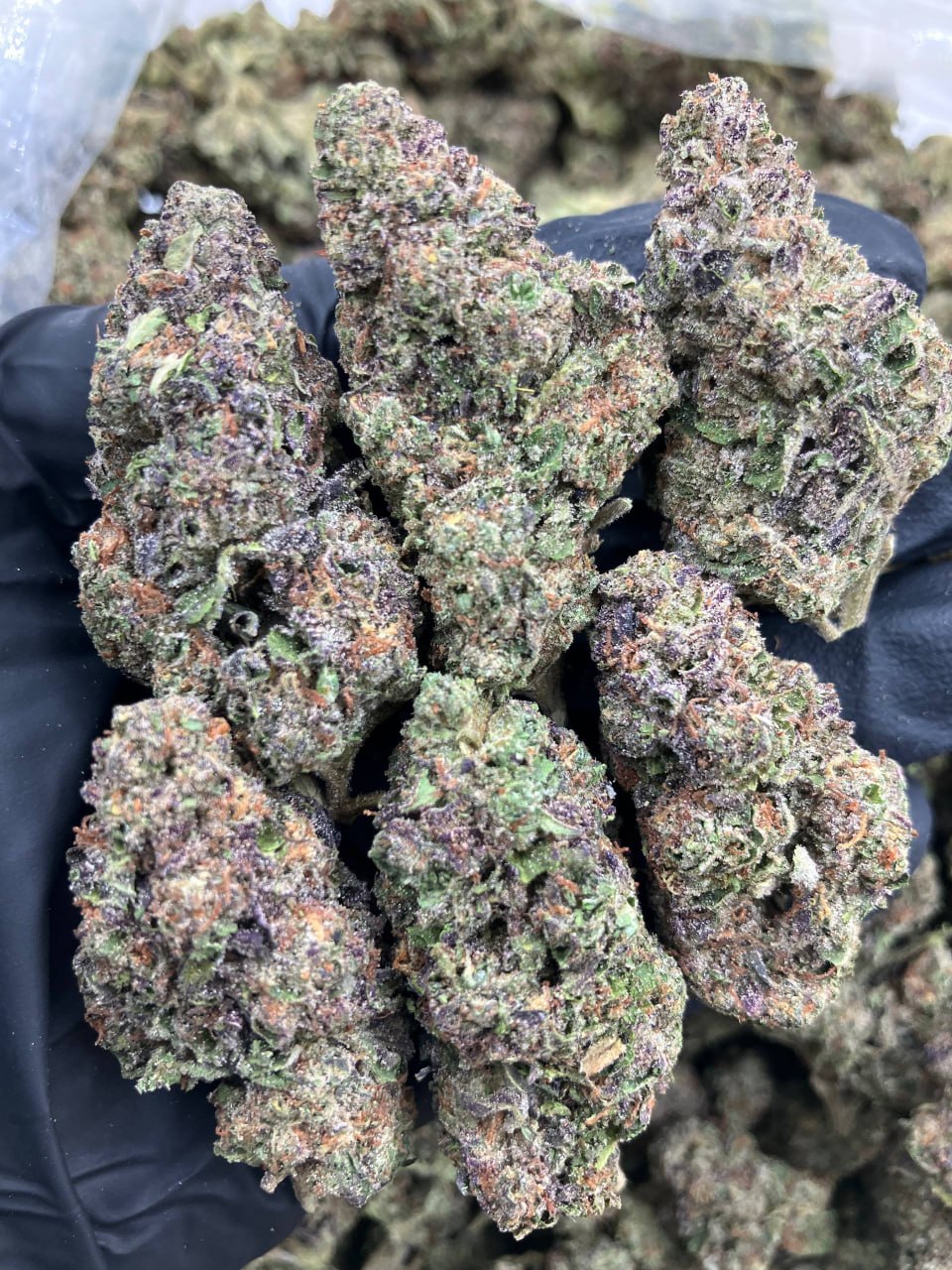 Grape Fanta