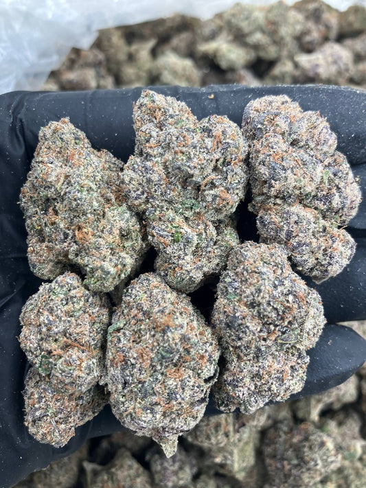 Grapefruit Gelato