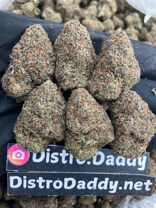 Purple Gruntz ☔️
