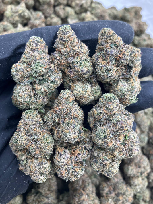 Gelato Sauce 🥘