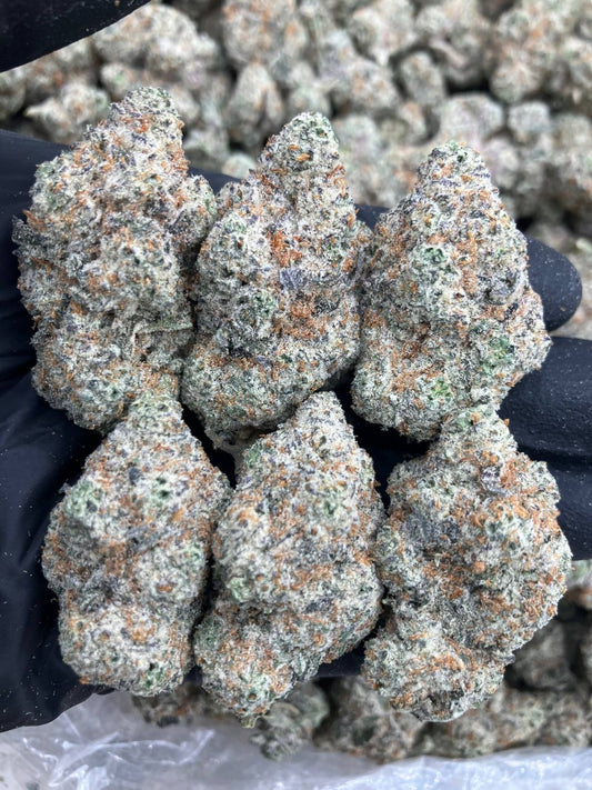 Gas Truffles⛽️
