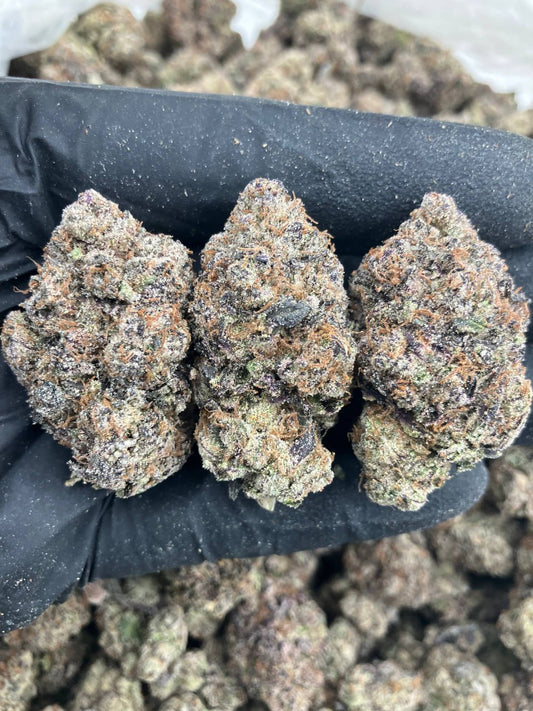 Hubba Bubba Gelato 🦊