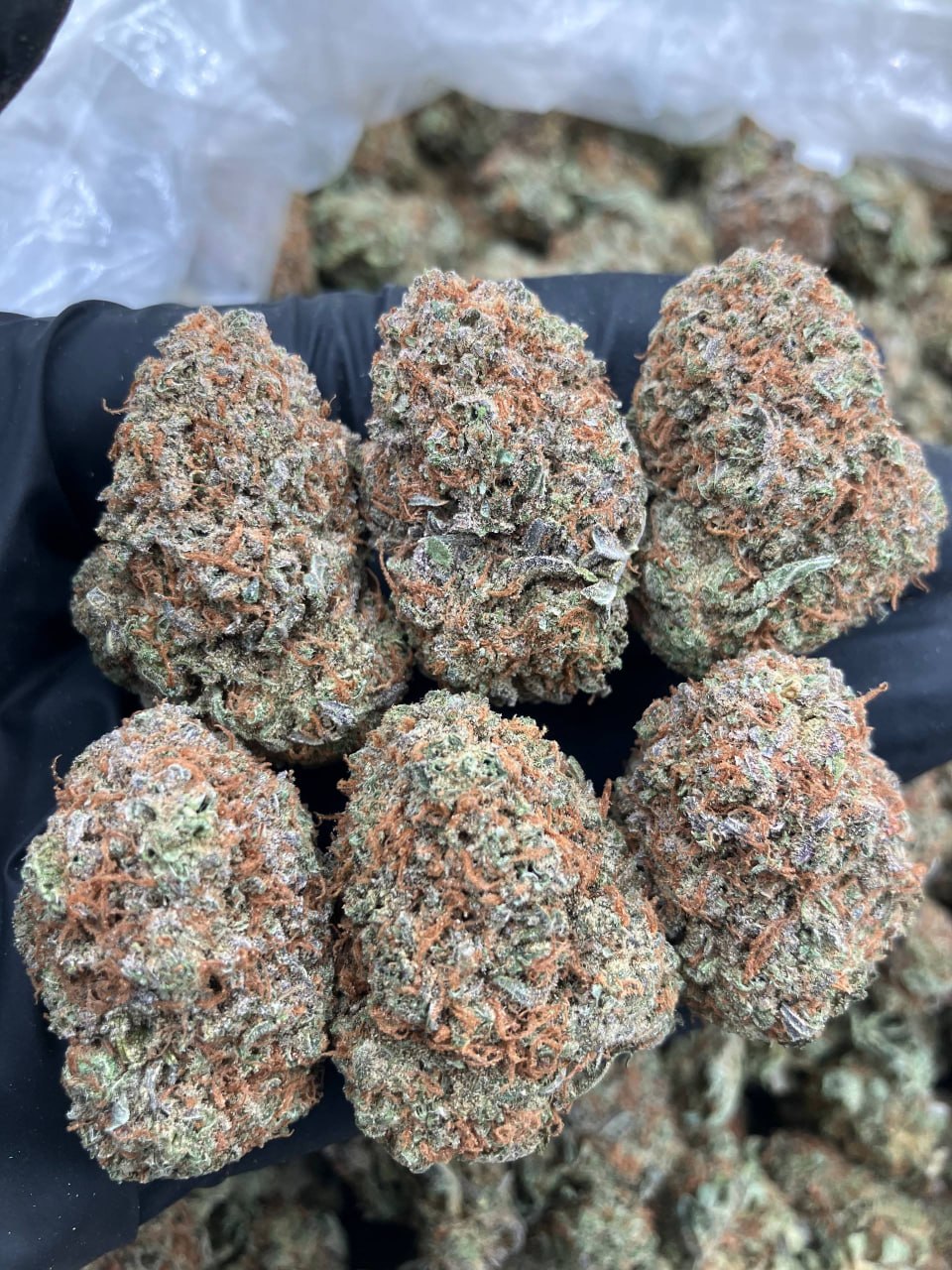 Hubba Bubba