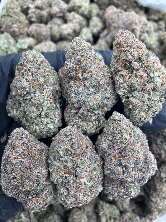 Jedi Gelato
