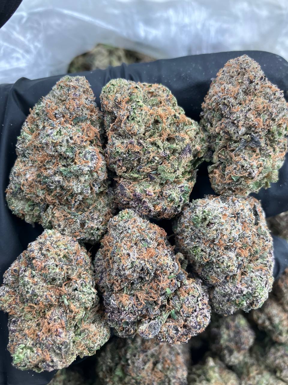 Jet Fuel Gelato
