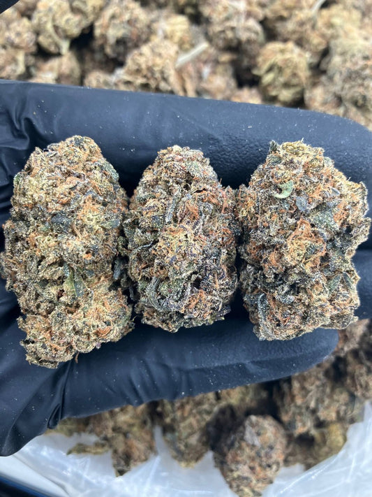 Jeeter x Gelato ☄️