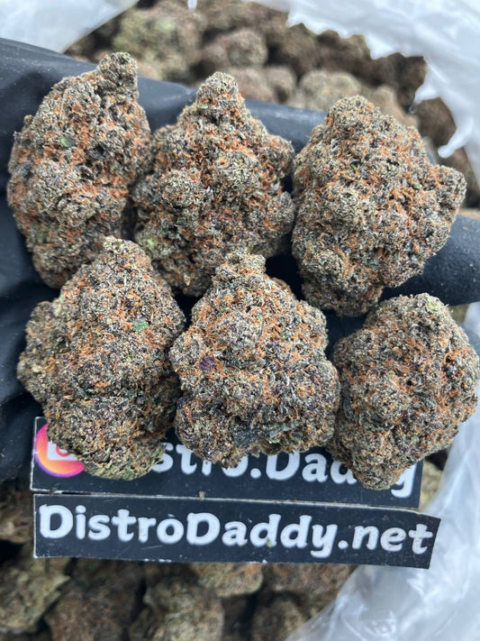 Jupiter OG 🧑🚀