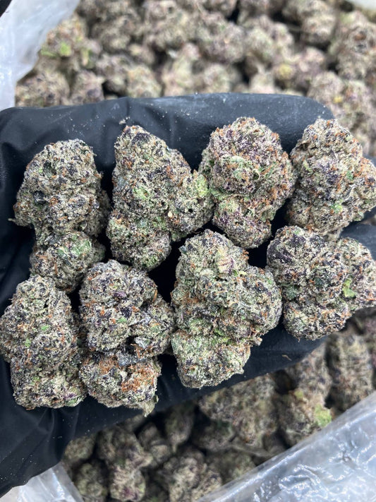 Kiwi Berry Gelato 🥝