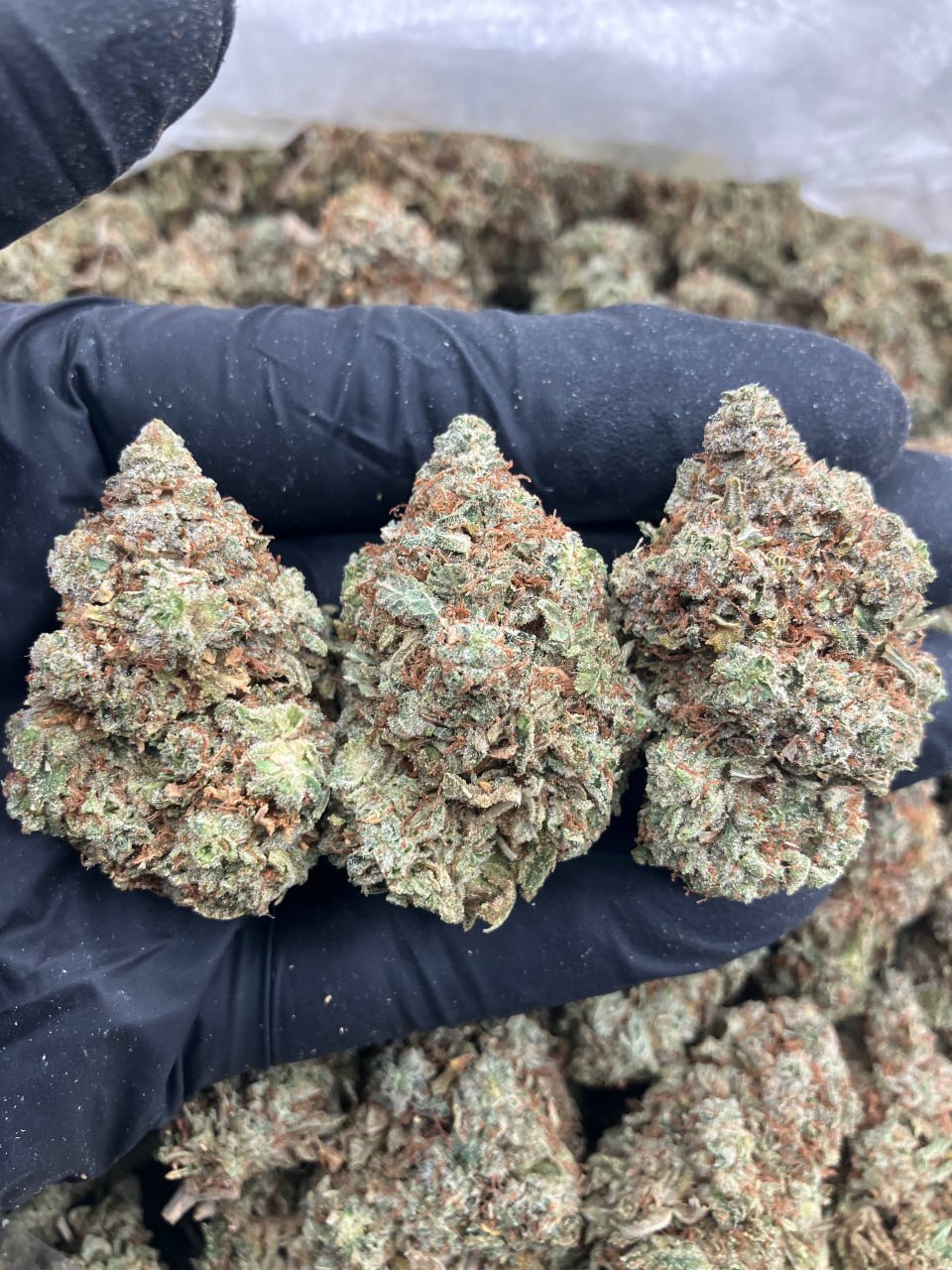 Killer Glue