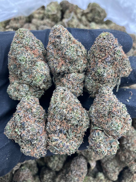 Kushmints x Runtz🥷