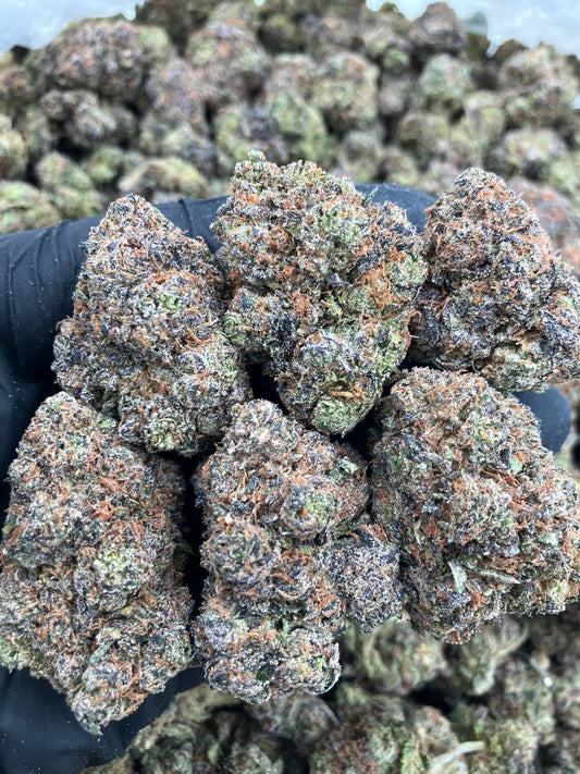 LA Gelato
