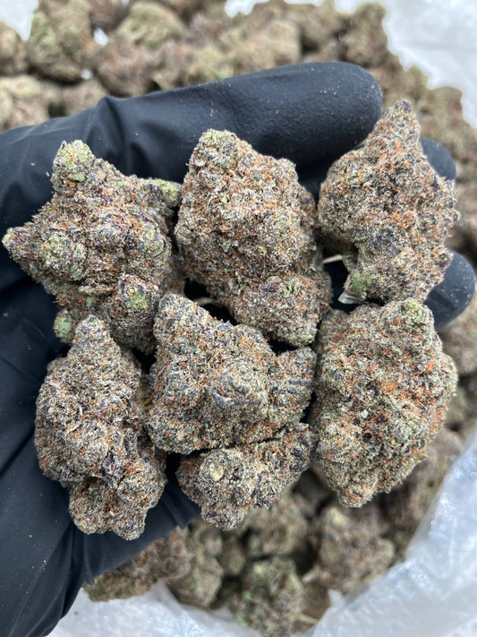 Larry x Gelato 🐛