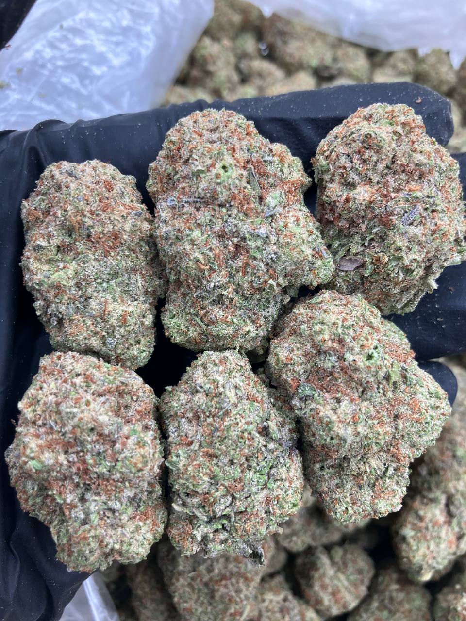 Lava Cake