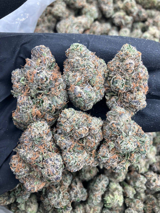 Lemon Cherry Diesel⛽️