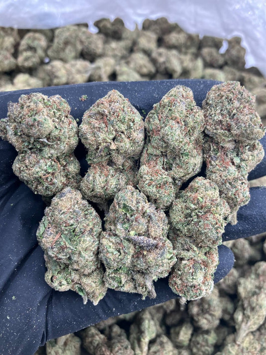 Lemon Candy Gas 🍋