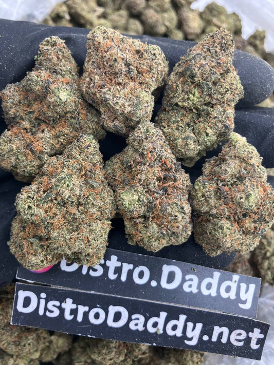 Lemon Cherry Gelato 🍋