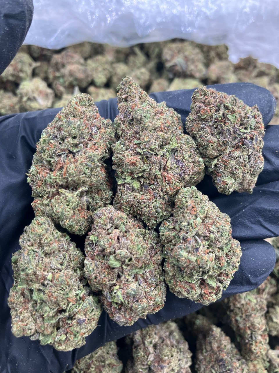 Lemonade Gelato