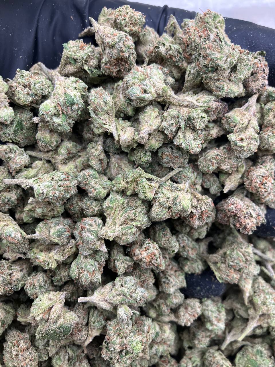 Lemon Cherry Smalls