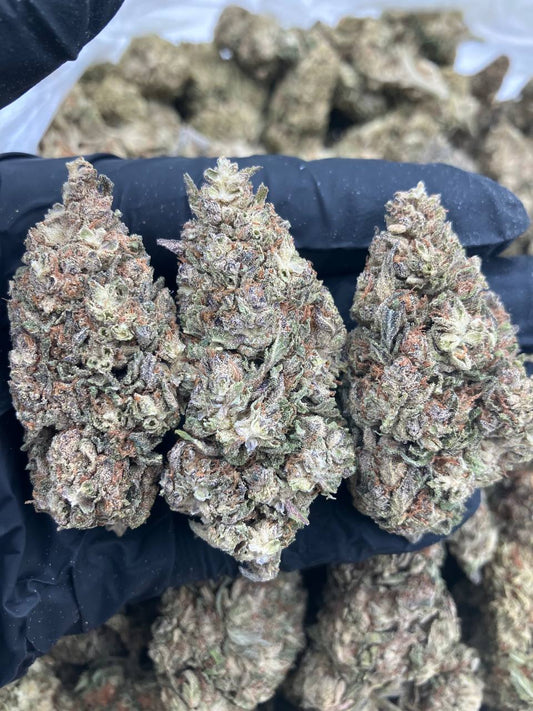 Lemon Haze