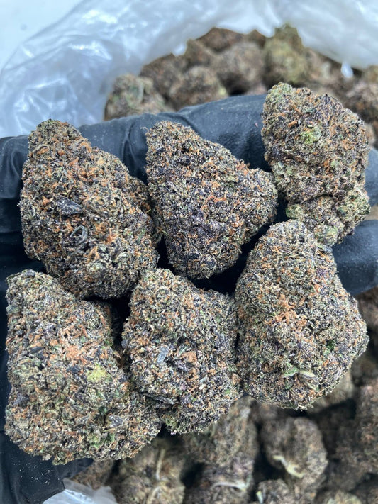 Lethal Purple