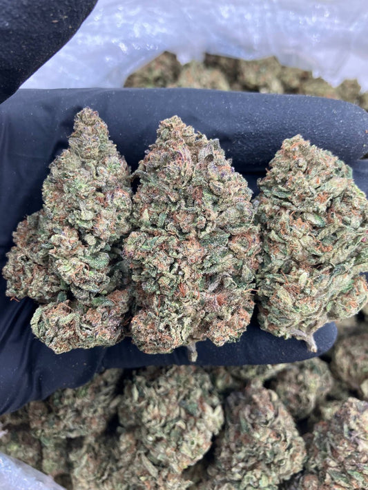 Lemon Head Gelato 🍋