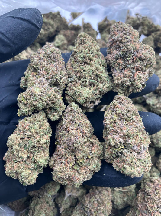 Mimosa X Horchata 🥛