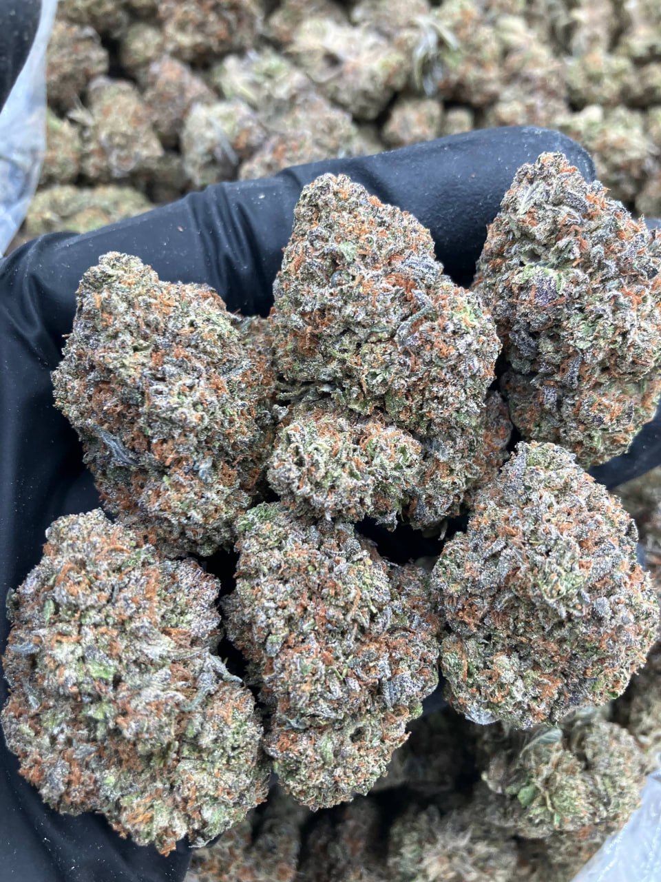 Mint Berry Crunch