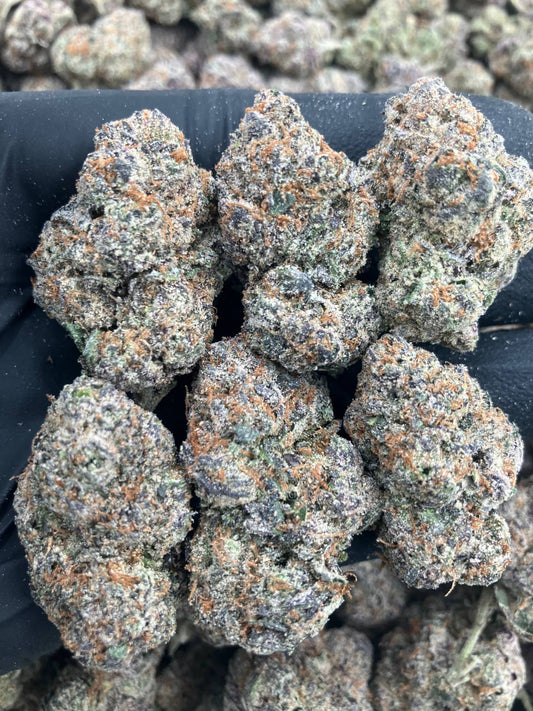 Maybach Runtz ⛽️