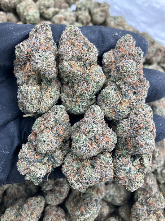 Nitrous Fuel ⛽️