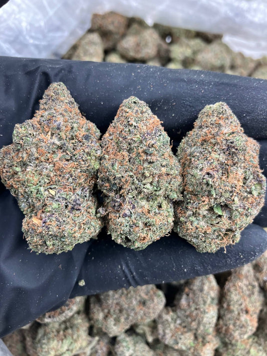 Northern Lights x Candy ⚡️