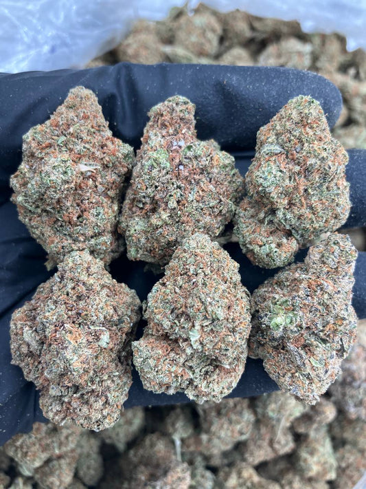 OG Platinum 🪩