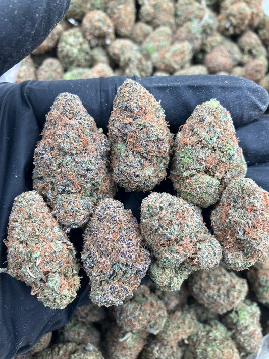Orange Apricot Gelato