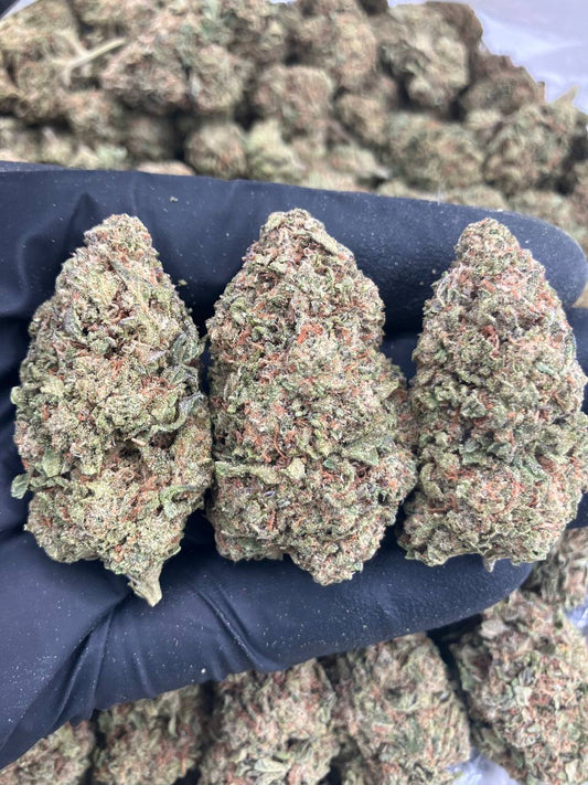 Papaya Punch 🍊