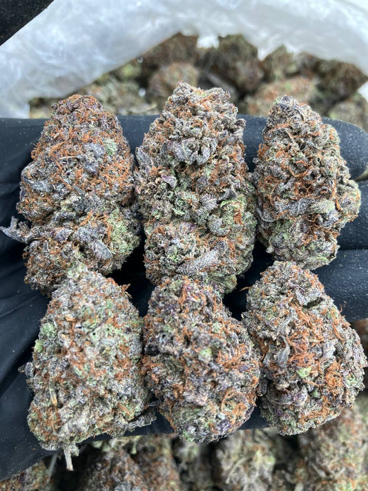 Platinum Bubzooka 💣