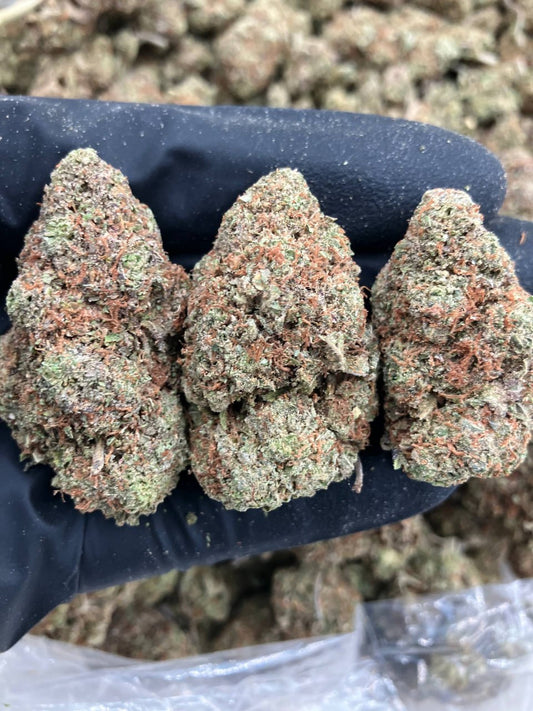 Platinum Emerald 👽